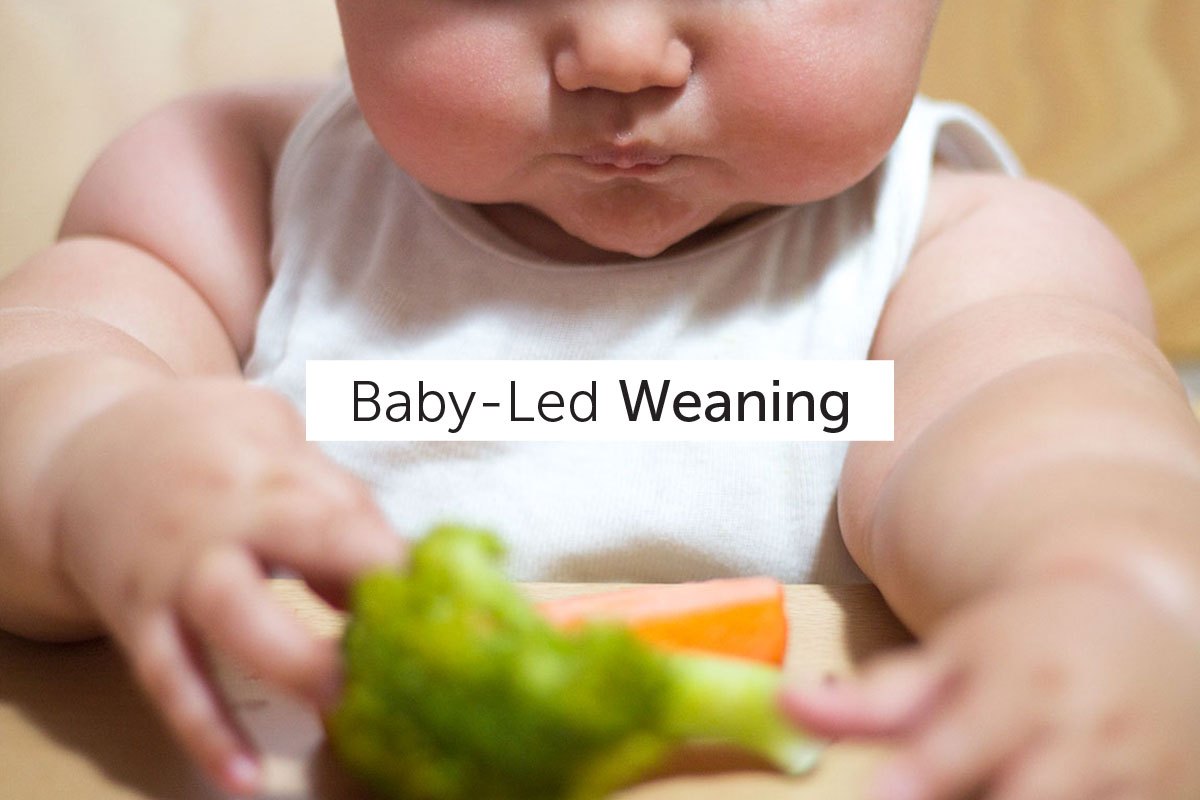 Baby-Led Weaning o la alimentación complementaria autorregulada