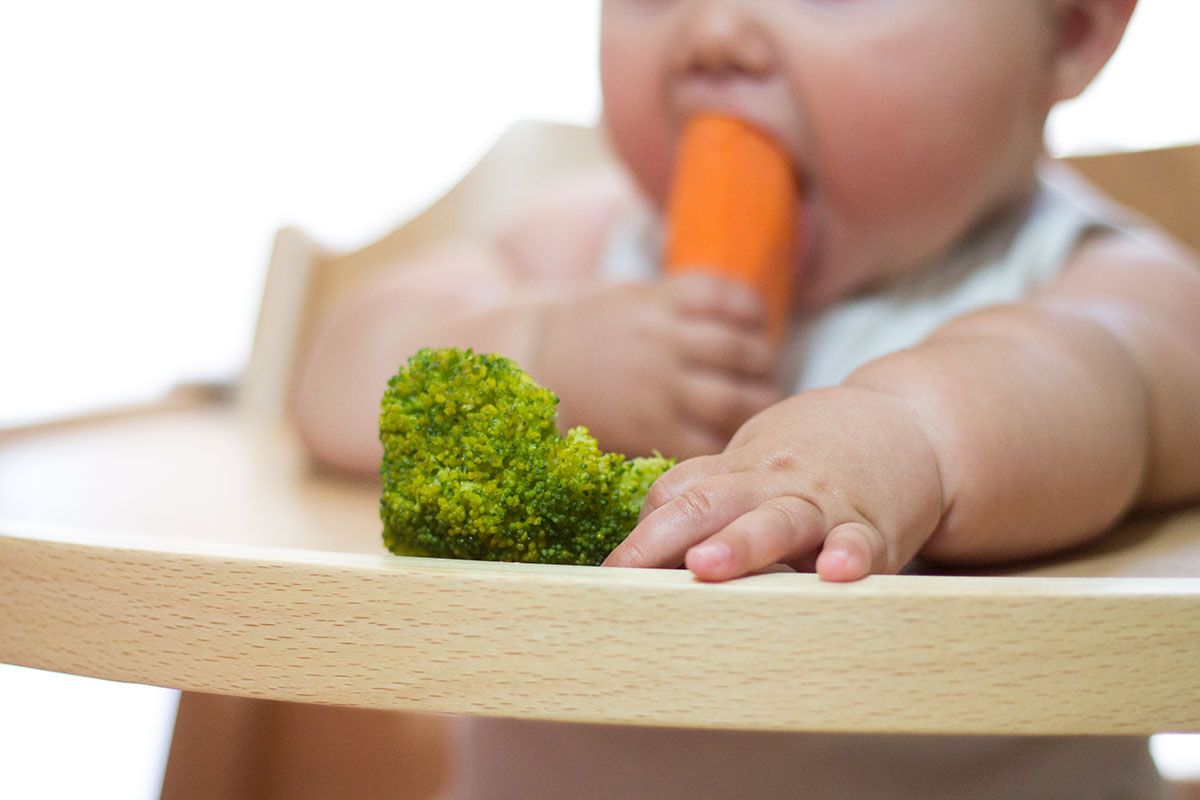 Baby-Led Weaning o la alimentación complementaria autorregulada