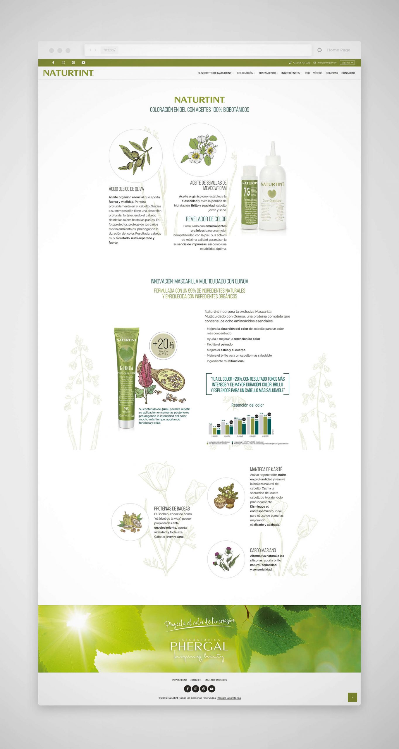 Diseño páginas web Madrid