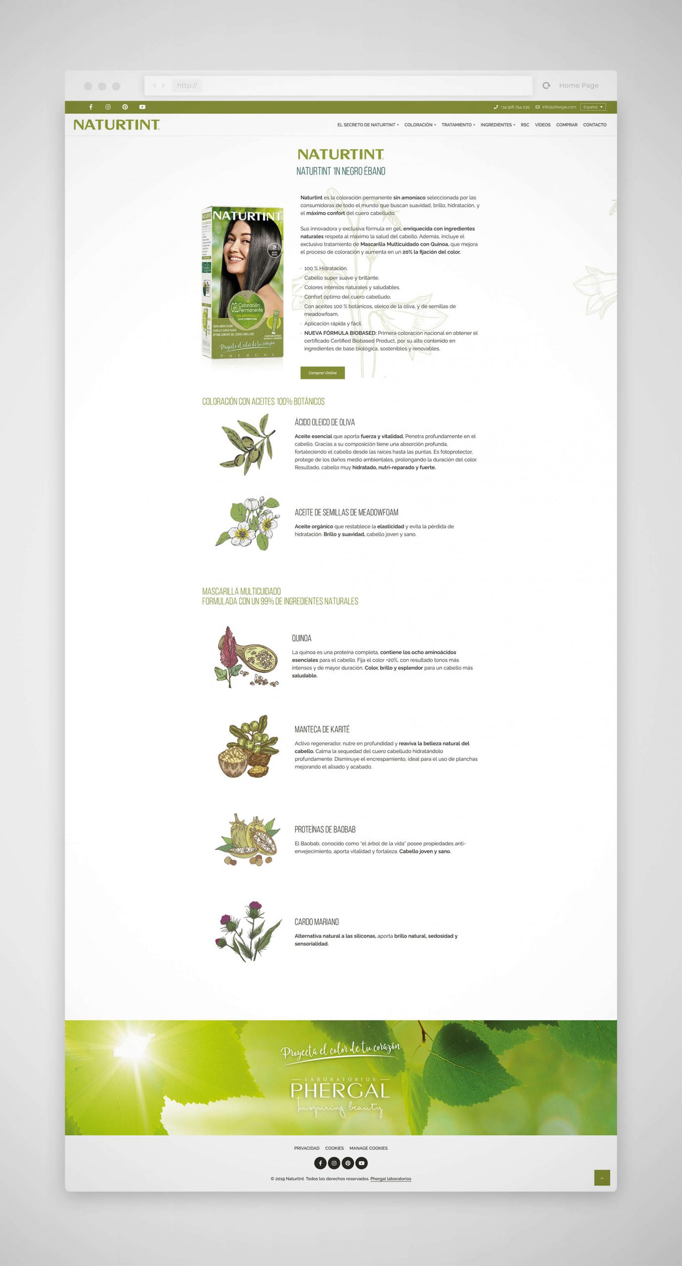 Diseño páginas web Madrid