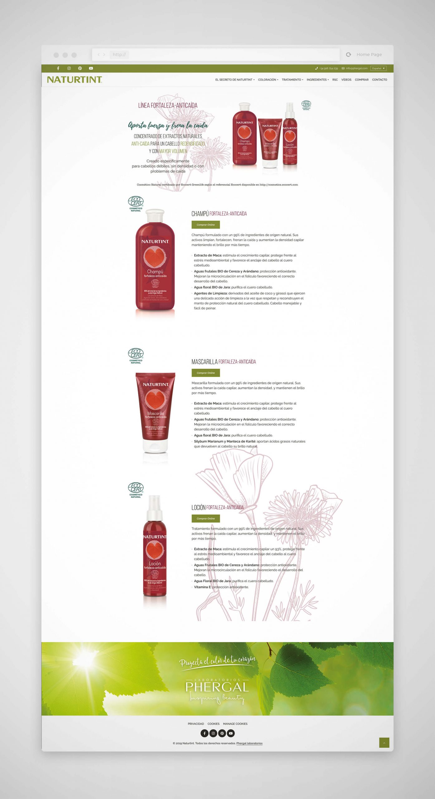 Diseño páginas web Madrid